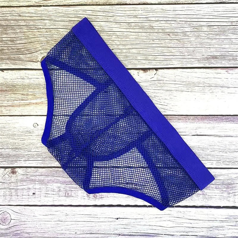 galleryman.com - Men Fishnet Briefs Breathable Underwear Blue