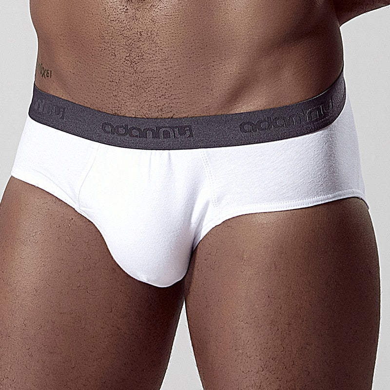 Men's Cotton Briefs Underwear