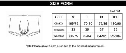 Men's Sexy Comfortable Lace Briefs Lingerie Underwear