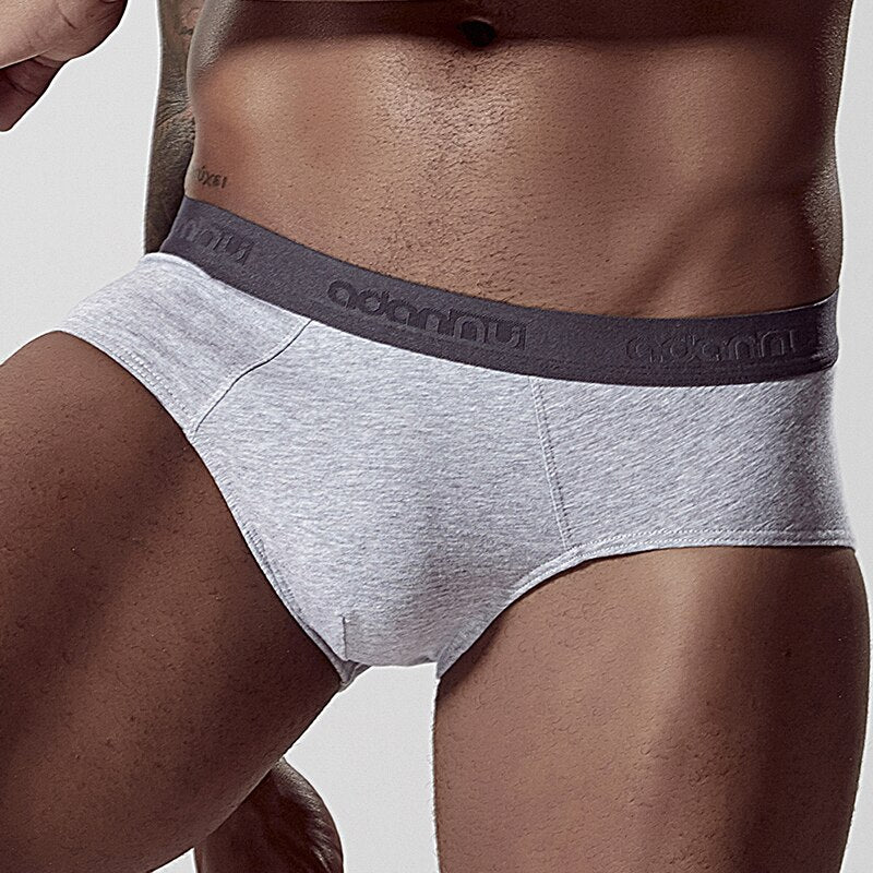 Men's Cotton Briefs Underwear