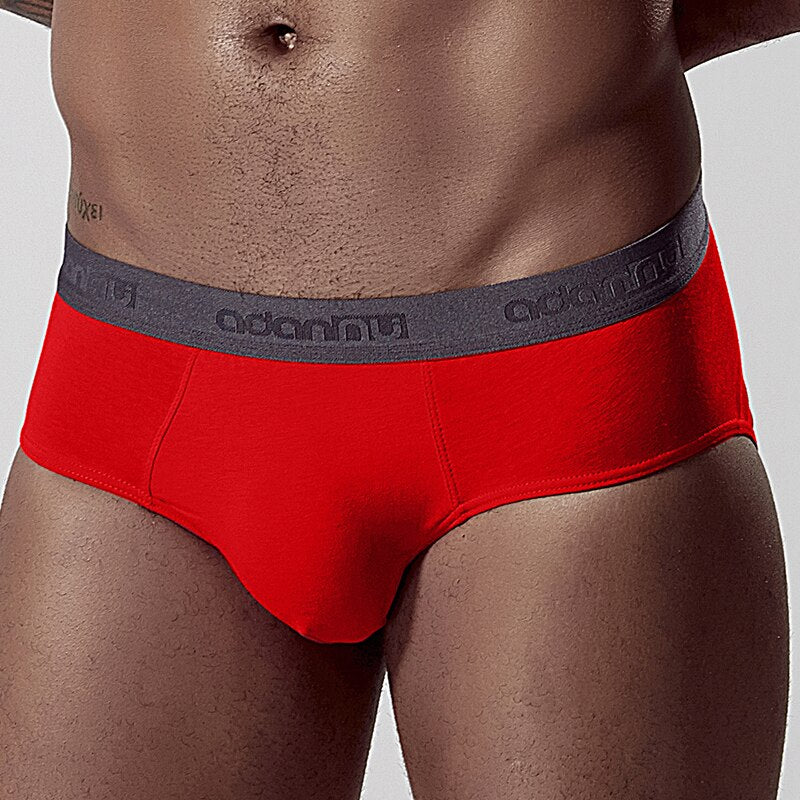 Men's Cotton Briefs Underwear