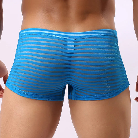 Men Boxer Briefs See Through Underwear