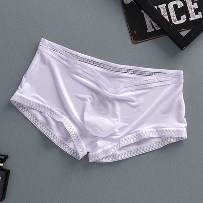 Men Sexy Boxer Shorts Underwear Translucent