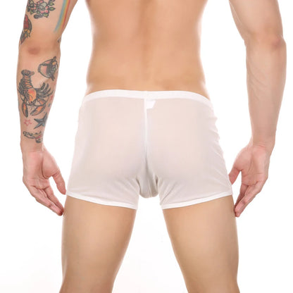 Men’s Ultra-Thin Lace Mesh Boxer Briefs See-Through