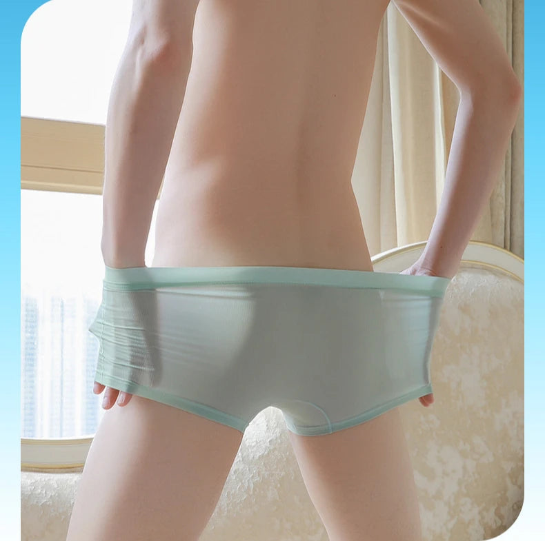 Men Elephant Nose Ultra Thin Boxer Briefs Underwear