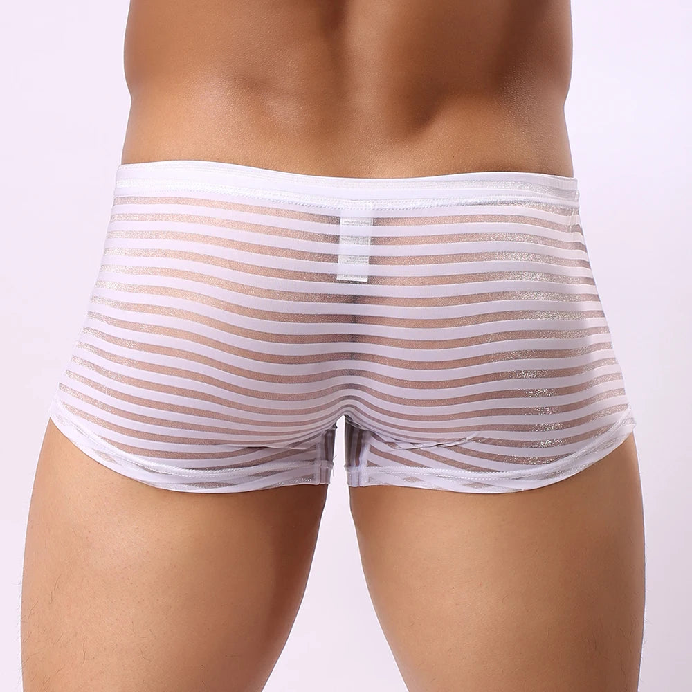 Men Boxer Briefs See Through Underwear