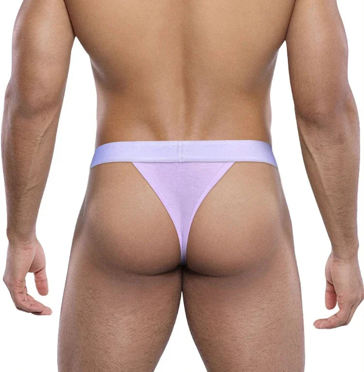 Men's Sexy Briefs Thong Low Waisted Underwear