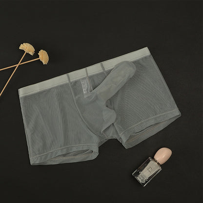Men's Sexy Translucent Boxer Briefs Elephant Nose Underwear