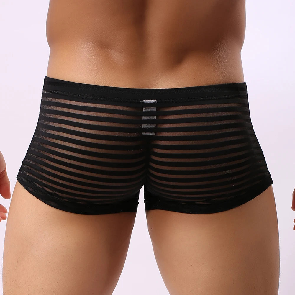 Men Boxer Briefs See Through Underwear