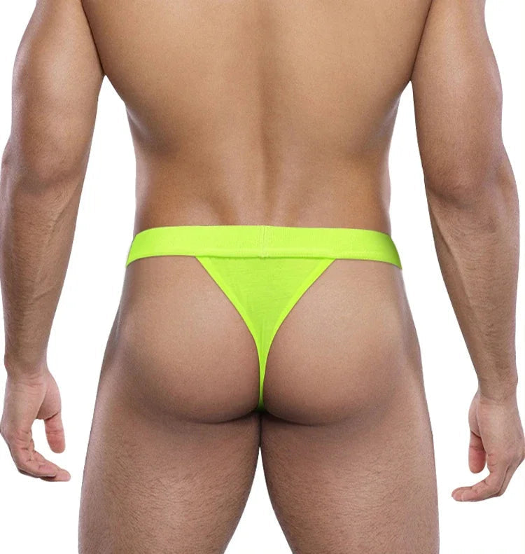 Men's Sexy Briefs Thong Low Waisted Underwear