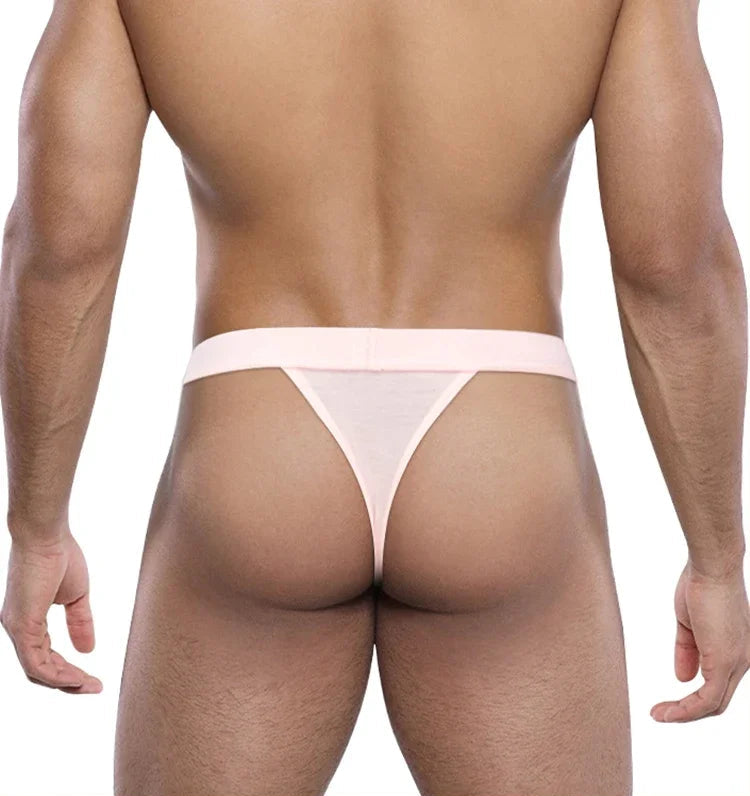 Men's Sexy Briefs Thong Low Waisted Underwear