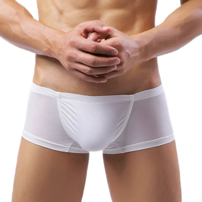 galleryman.com - Men Sexy Boxer Briefs Ice Silk Ultra-Thin Underwear White