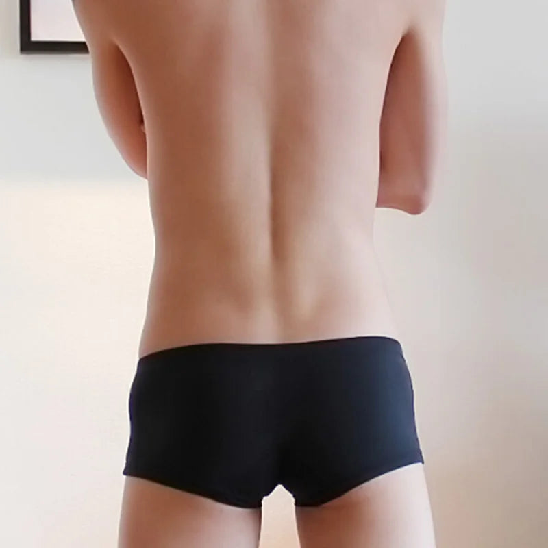 Men Ultra-thin Sexy Boxer Briefs Underwear