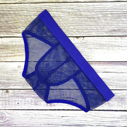 galleryman.com - Men Fishnet Briefs Breathable Underwear Blue