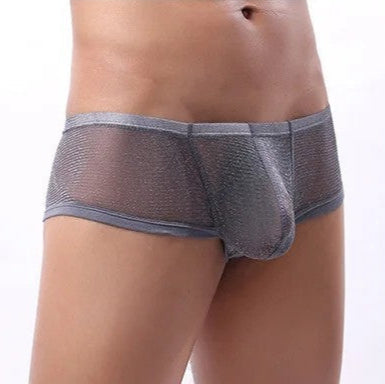 galleryman.com - Men Sexy Ultra Thin Mesh Boxer Brief Underwear Gray