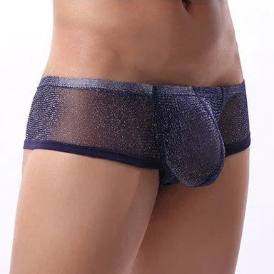 galleryman.com - Men Sexy Ultra Thin Mesh Boxer Brief Underwear Sapphire