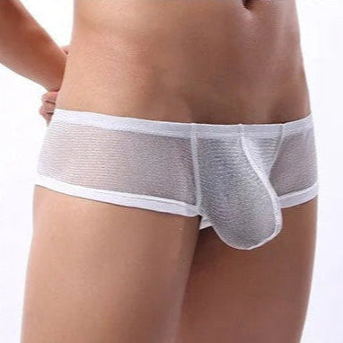 galleryman.com - Men Sexy Ultra Thin Mesh Boxer Brief Underwear White