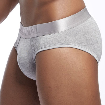 galleryman.com - Men Soft Briefs Underwear Gray