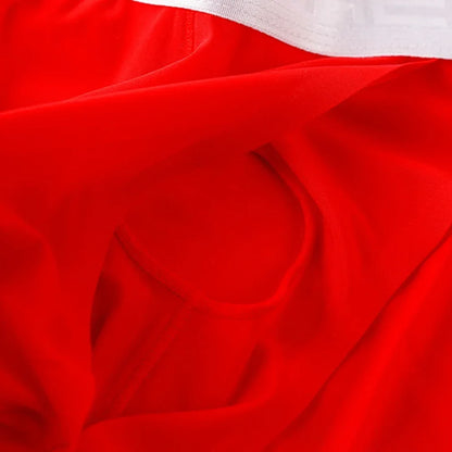 Men’s Ice Silk Ultra-Thin Briefs with Raised Comfort Pouch by Gallery Man