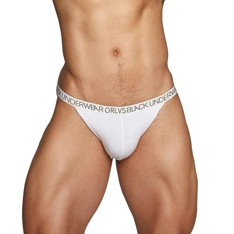 Men Sexy Elegant Cotton Briefs Underwear Ultra Low Rise in White by Gallery Man