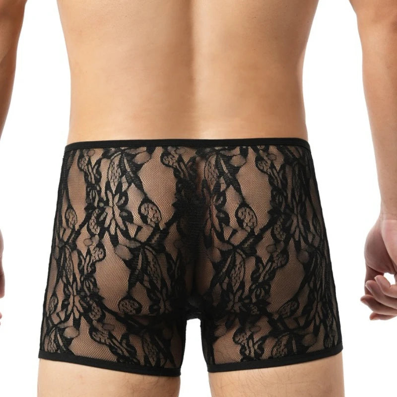 Men’s Sheer Lace Boxer Briefs with Contour Pouch in Black by Gallery Man