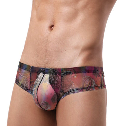 Men's Transparent Perfect-fit Print Briefs Panties in Rainbow by Gallery Man
