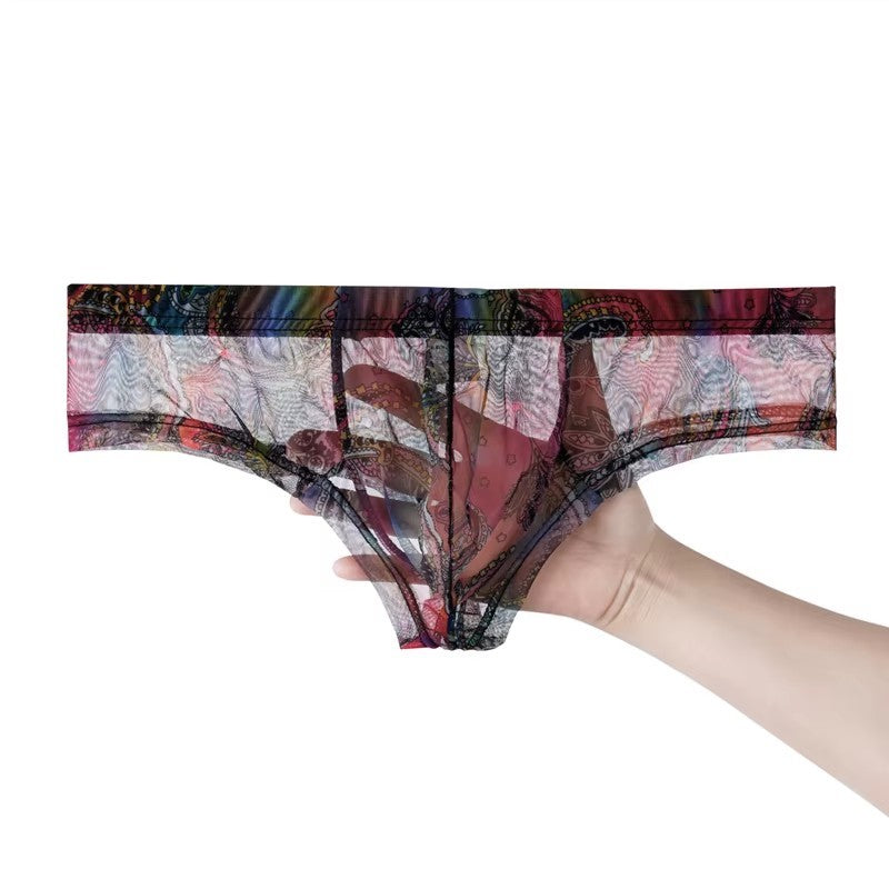 Men's Transparent Perfect-fit Print Briefs Panties in Rainbow by Gallery Man