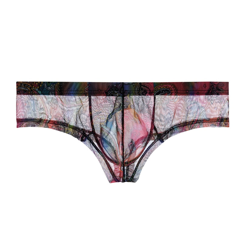 Men's Transparent Perfect-fit Print Briefs Panties in Rainbow by Gallery Man