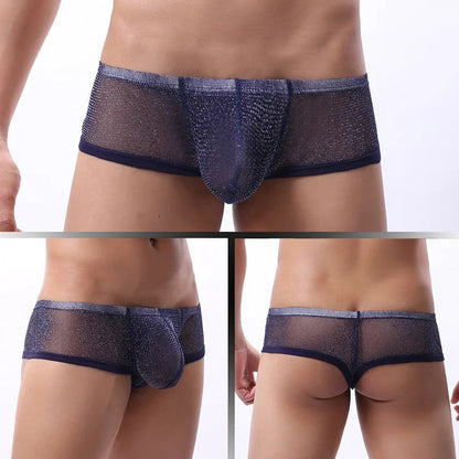galleryman.com - Men Sexy Ultra Thin Mesh Boxer Brief Underwear Sapphire
