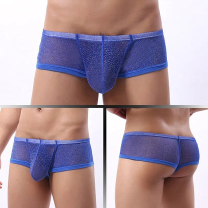 galleryman.com - Men Sexy Ultra Thin Mesh Boxer Brief Underwear Blue