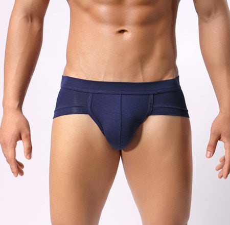 Men Classic Briefs Underwear