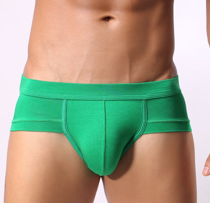 Men Classic Briefs Underwear
