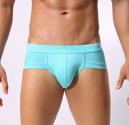 Men Classic Briefs Underwear