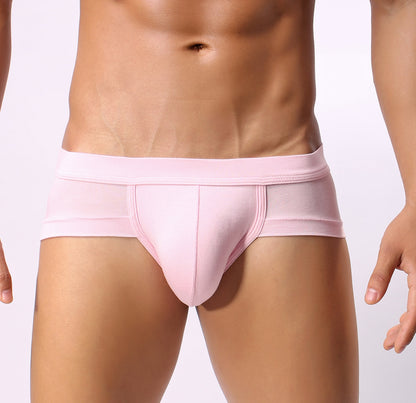 Men Classic Briefs Underwear