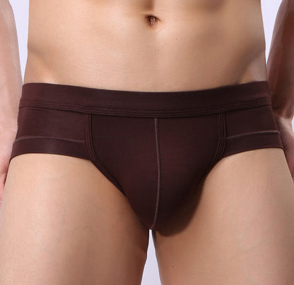 Men Classic Briefs Underwear