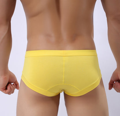 Men Classic Briefs Underwear