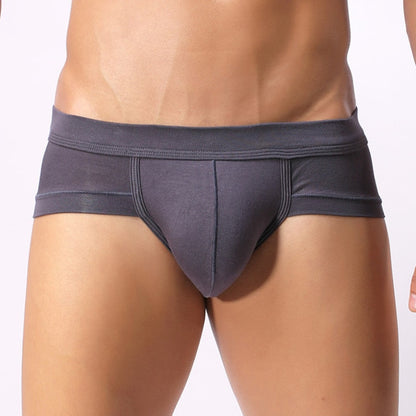 Men Classic Briefs Underwear