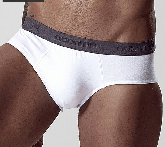 Men's Cotton Briefs Underwear