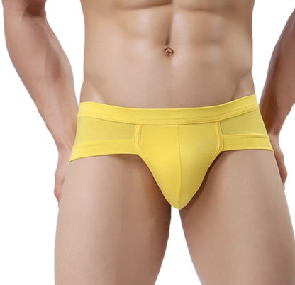 Men Classic Briefs Underwear
