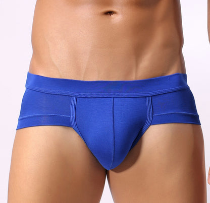Men Classic Briefs Underwear