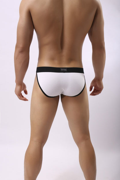 Men's Low Rise Cotton Briefs Underwear