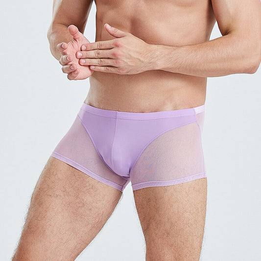 Men Boxer Briefs Translucent Mesh Underwear