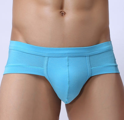 Men Classic Briefs Underwear
