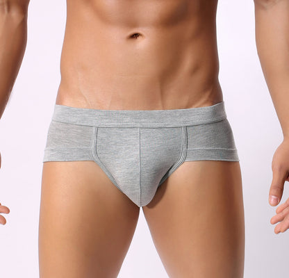 Men Classic Briefs Underwear