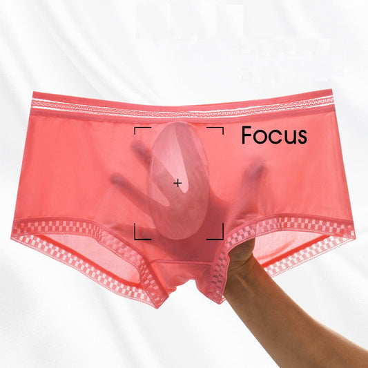 Men Sexy Boxer Shorts Underwear Translucent