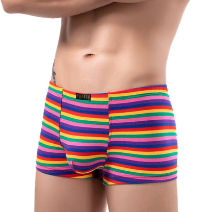 Men’s Bold Striped Boxer Briefs Underwear