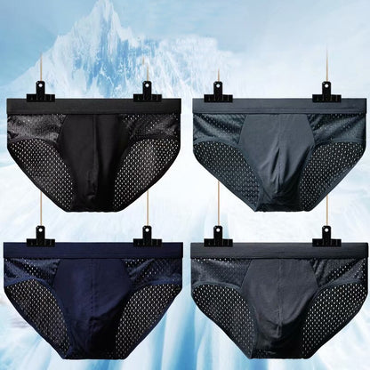 galleryman.com - Men's Briefs Translucent Underwear