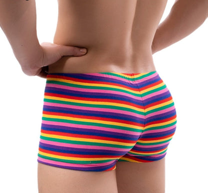Men’s Bold Striped Boxer Briefs Underwear