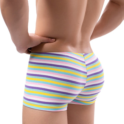 Men’s Bold Striped Boxer Briefs Underwear